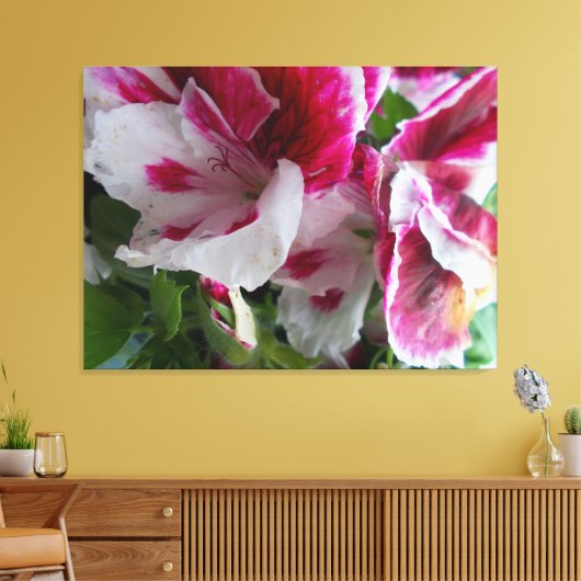 Geranium Stretched Canvas Print (Insitu (Woonkamer))