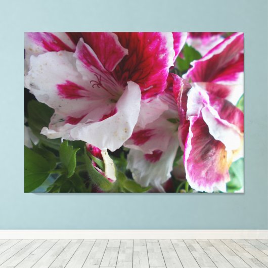 Geranium Stretched Canvas Print (Insitu (Houten vloer))
