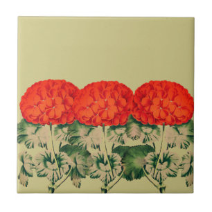  Geranium Trio - vettige floraal    Tegeltje