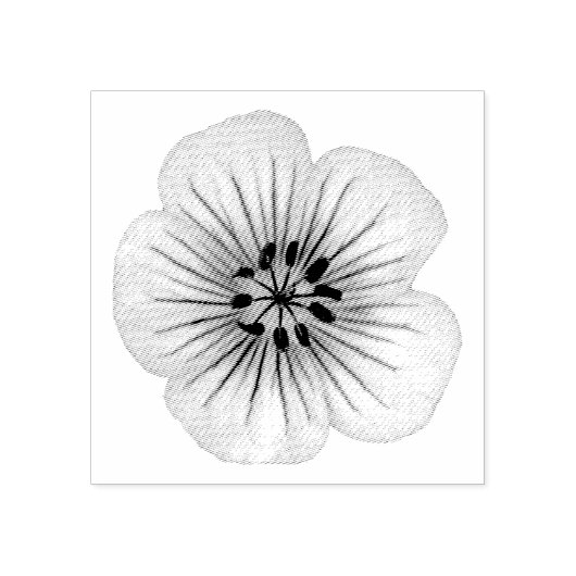 Geranium tuin bloem breekbaar rubberstempel (Afrduk)