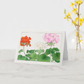 Geranium van Tanigami Konan Kaart (Gele Bloem)