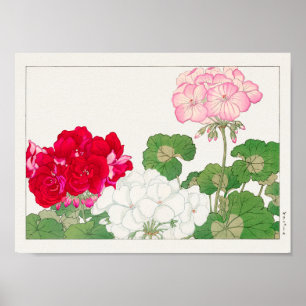 Geranium van Tanigami Konan Poster