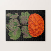 Geranium - vet floraal Legpuzzel (Horizontaal)