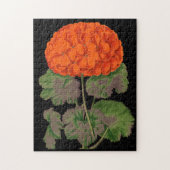 Geranium - vet floraal Legpuzzel (Verticaal)