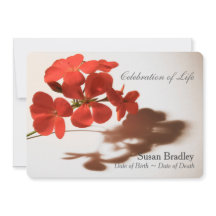 Geranium Viering van het Leven Uitvaart Aankondigi