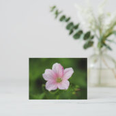 Geranium Visitekaartje (Staand voorkant)