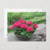 Geranium - Voel je snel beter Briefkaart (Voorkant / Achterkant)