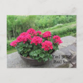 Geranium - Voel je snel beter Briefkaart (Voorkant)