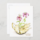 Geranium wildflower watercolor briefkaart (Voorkant / Achterkant)