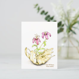 Geranium wildflower watercolor briefkaart