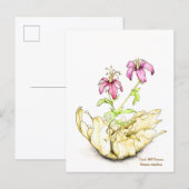 Geranium wildflower watercolor briefkaart (Voorkant / Achterkant)