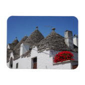 Geraniumbloemen en boomgaarden in Alberobello Magneet (Horizontaal)