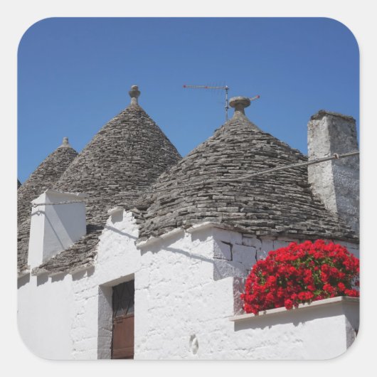 Geraniumbloemen en boomgaarden in Alberobello Vierkante Sticker (Voorkant)