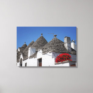 Geraniumbloemen en driehoekshuizen in Alberobello Canvas Afdruk