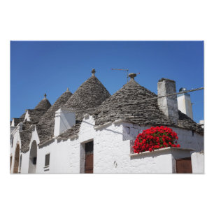 Geraniumbloemen en driehoekshuizen in Alberobello Foto Afdruk