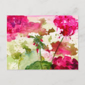geraniumbriefkaart briefkaart (Voorkant)