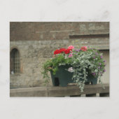 Geraniums Briefkaart (Voorkant)