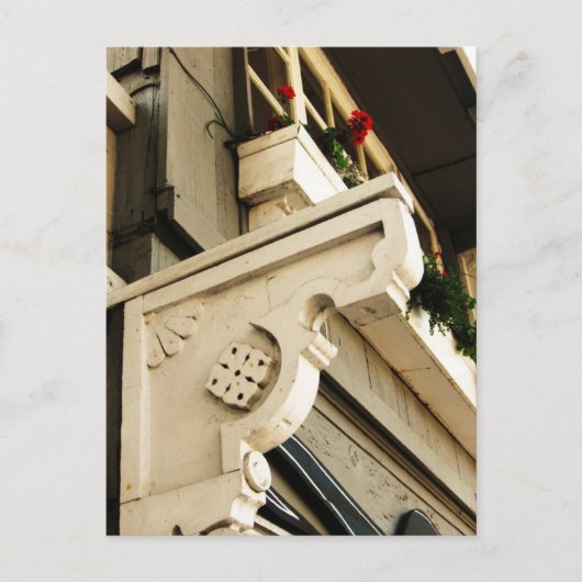 Geraniums Briefkaart (Voorkant)