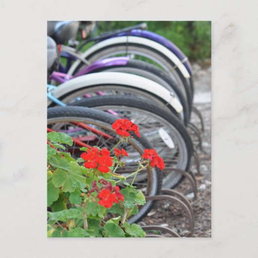 Geraniums en fietsen briefkaart (Voorkant)