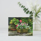 Geraniums en Lavender Flowers op Stone Steps Briefkaart (Staand voorkant)