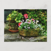 Geraniums en Lavender Flowers op Stone Steps Briefkaart (Voorkant)