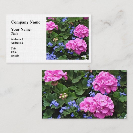 Geraniums en Periwinkle Visitekaartje (Voorkant / Achterkant)