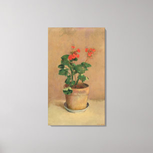 Geraniums in a Pot, c.1905 (olie op canvas) Canvas Afdruk