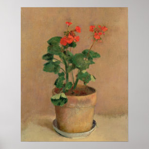 Geraniums in a Pot, c.1905 (olie op canvas) Poster