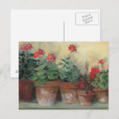 Geraniums in Pots Briefkaart (Voorkant / Achterkant)