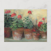 Geraniums in Pots Briefkaart (Voorkant)