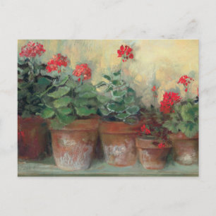 Geraniums in Pots Briefkaart