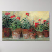Geraniums in Pots Poster (Voorkant)