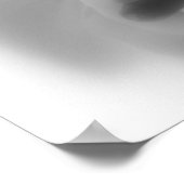 Geraniums in zwart-wit poster (Hoek)