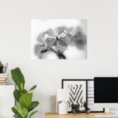 Geraniums in zwart-wit poster (Thuiskantoor)