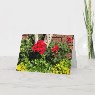 Geraniums Kaart