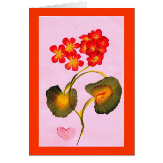 GERANIUMS-kaart