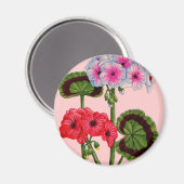 geraniums magneet (Voorkant / Achterkant)