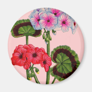 geraniums magneet