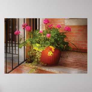 Geraniums - Op een mooie zonnige dag Poster
