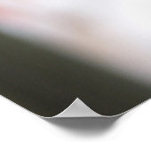 Geraniums Poster (Hoek)