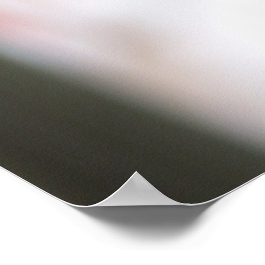 Geraniums Poster (Hoek)