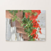 Geraniums Potted Planten Kew Gardens London Vereni Legpuzzel (Horizontaal)