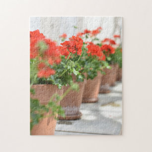 Geraniums Potted Planten Kew Gardens London Vereni Legpuzzel