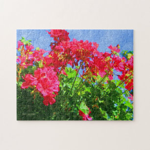 "Geraniums" puzzel Legpuzzel