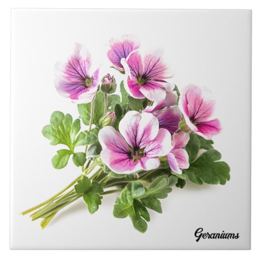 Geraniums Tegeltje (Voorkant)