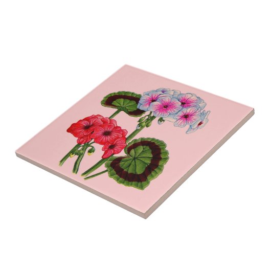 geraniums tegeltje (Zijkant)