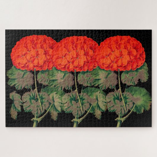  Geraniums - vetgedrukte florale Legpuzzel (Horizontaal)