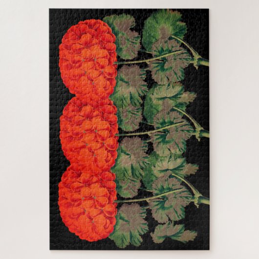  Geraniums - vetgedrukte florale Legpuzzel (Verticaal)