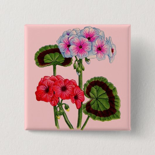 geraniums vierkante button 5,1 cm (Voorkant)