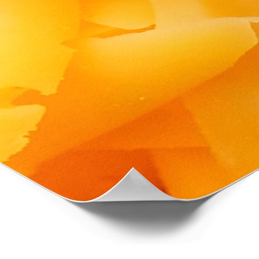 geraspte cheddar-uitzicht bovenaan poster (Hoek)